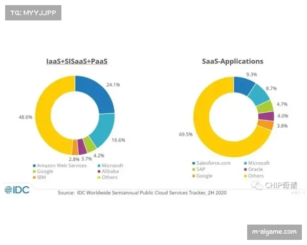 “2024年中国搏击市场规模达432亿元，服务占比超七成”