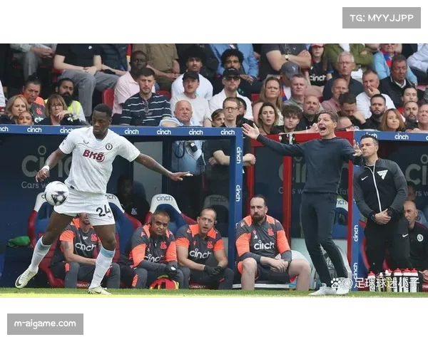 塞尔赫斯特公园球场扩容计划面临挑战，水晶宫收入增长遇瓶颈